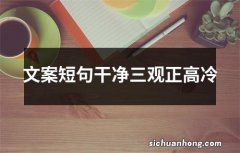 文案短句干净三观正高冷