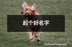 起个好名字