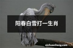 阳春白雪打一生肖