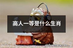 高人一等是什么生肖