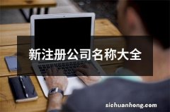 新注册公司名称大全