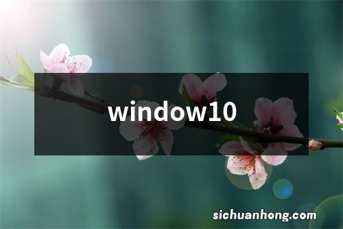 window10