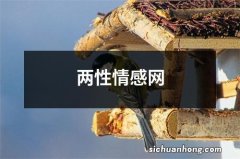 两性情感网