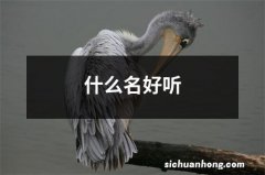 什么名好听