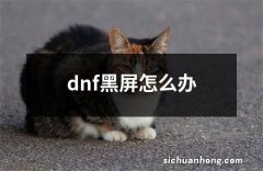 dnf黑屏怎么办