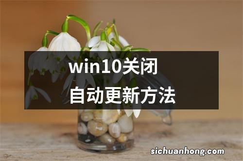 win10关闭自动更新方法