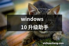 windows 10 升级助手