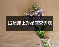 12星座上升星座查询表