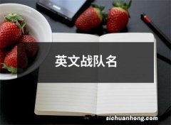 英文战队名