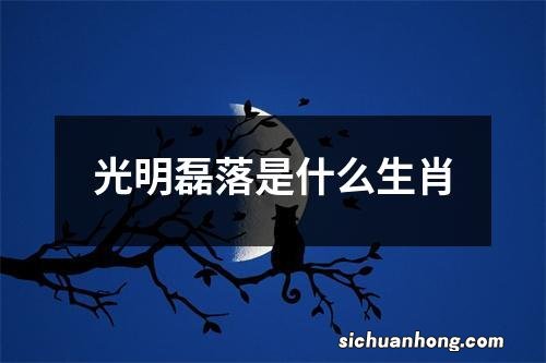 光明磊落是什么生肖