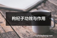 枸杞子功效与作用