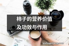 柿子的营养价值及功效与作用