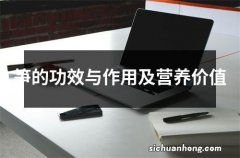 笋的功效与作用及营养价值