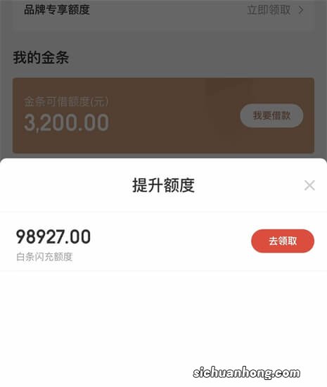 白条闪充额度是什么意思