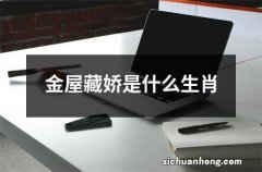 金屋藏娇是什么生肖