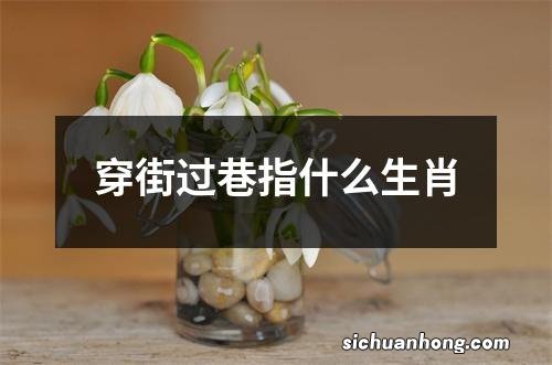 穿街过巷指什么生肖