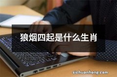 狼烟四起是什么生肖