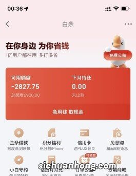 京东白条怎么刷出来，有以下两种情况