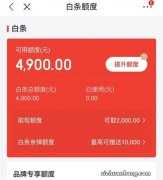 推几个好方法 京东白条怎么套出来取现