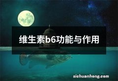 维生素b6功能与作用