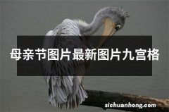 母亲节图片最新图片九宫格