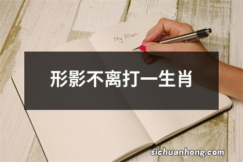 形影不离打一生肖