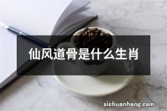 仙风道骨是什么生肖