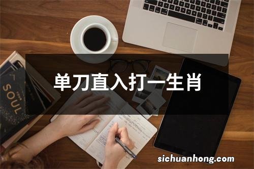 单刀直入打一生肖