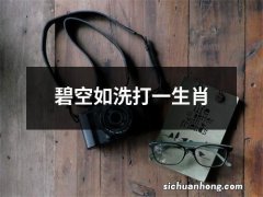 碧空如洗打一生肖