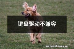 键盘驱动不兼容