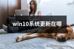 win10系统更新在哪