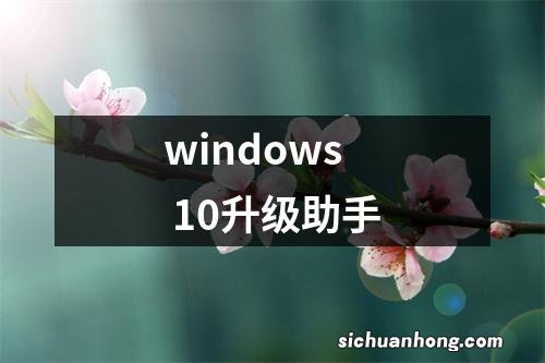 windows 10升级助手