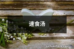 速食汤