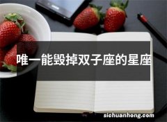 唯一能毁掉双子座的星座