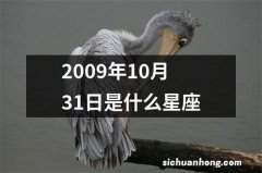 2009年10月31日是什么星座