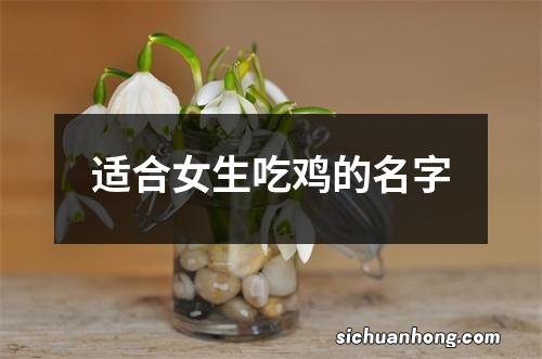 适合女生吃鸡的名字