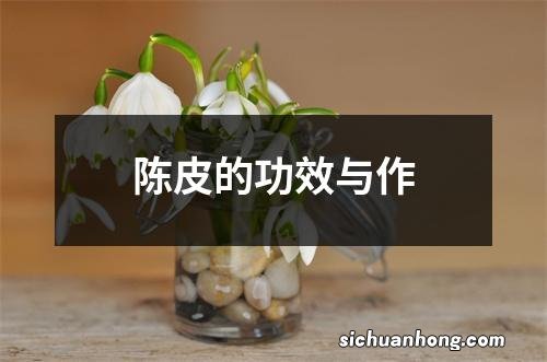 陈皮的功效与作