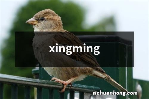 xingming