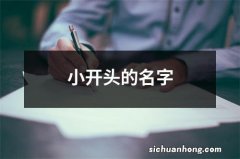 小开头的名字