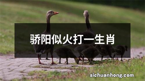 骄阳似火打一生肖