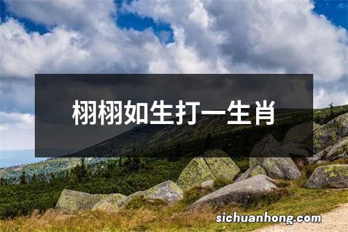 栩栩如生打一生肖