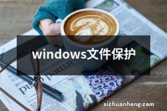 windows文件保护