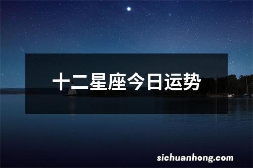 十二星座今日运势