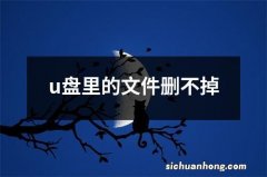 u盘里的文件删不掉