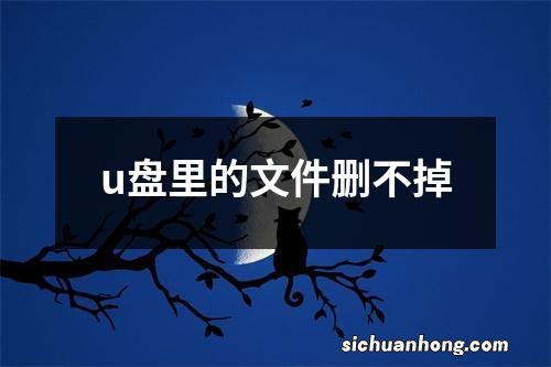 u盘里的文件删不掉