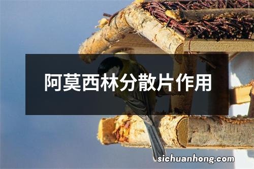 阿莫西林分散片作用