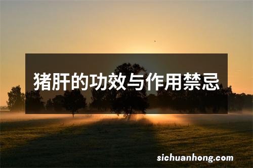 猪肝的功效与作用禁忌