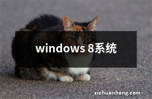 windows 8系统