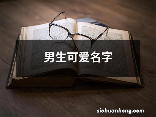 男生可爱名字