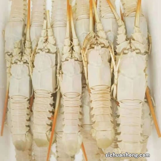 海鲜老板娘和海鲜小哥 发海鲜用什么快递？